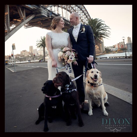 Divon Wedding Photography