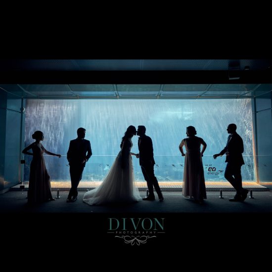 divon photography sydney wedding photographer